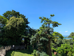 Mount Faber Lodge (D4), Condominium #448854881